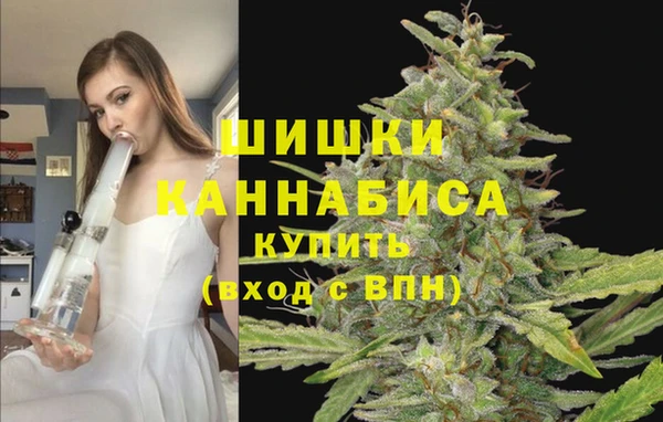 гидропоника Верея