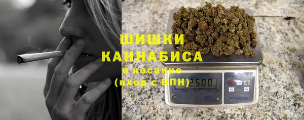 ГАЛЛЮЦИНОГЕННЫЕ ГРИБЫ Верхний Тагил