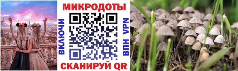 Купить где  Лангепас  Псилоцибиновые грибы GOLDEN TEACHER 